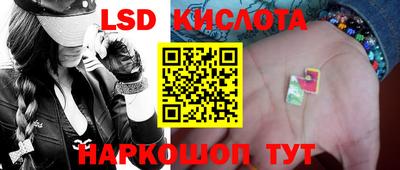 прущие грибы Ирбит
