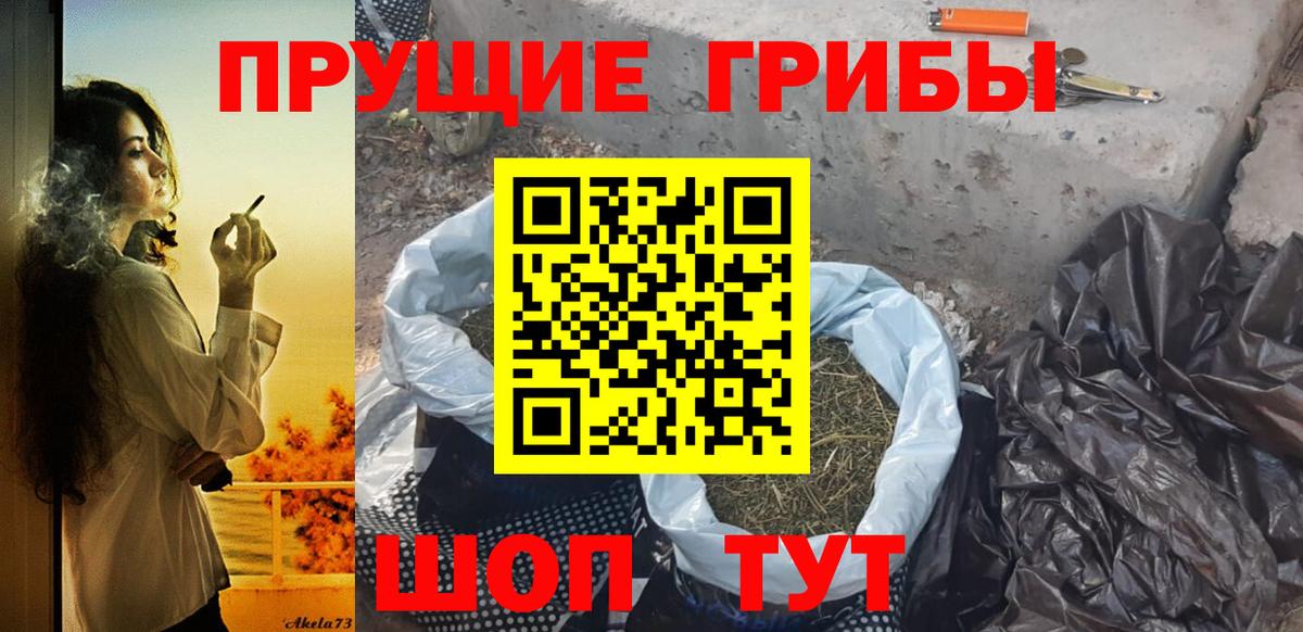 что такое   Галлюциногенные грибы Cubensis  Вход с VPN  Псилоцибиновые грибы мицелий  Лабинск 